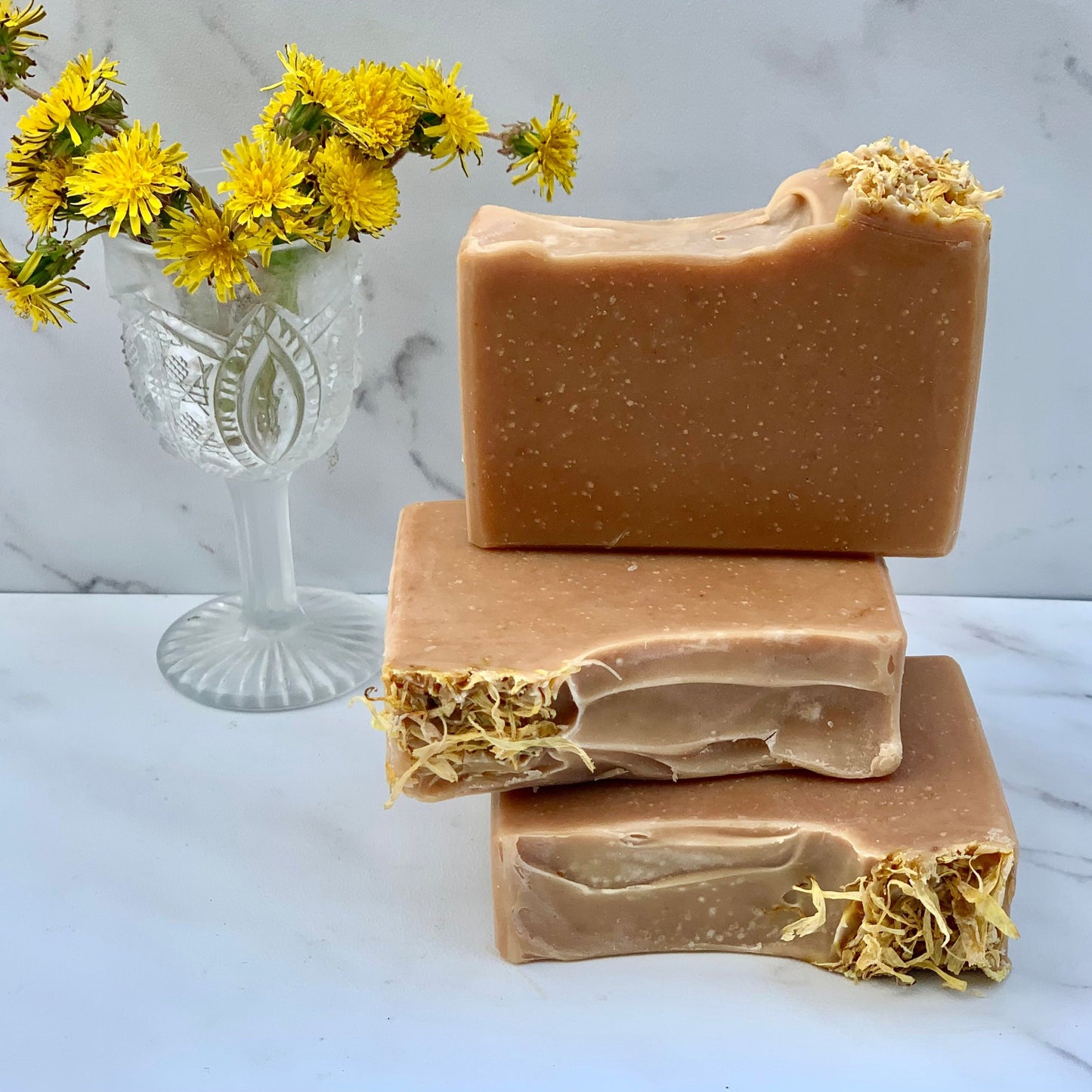 Dandelion and Aloe Vera