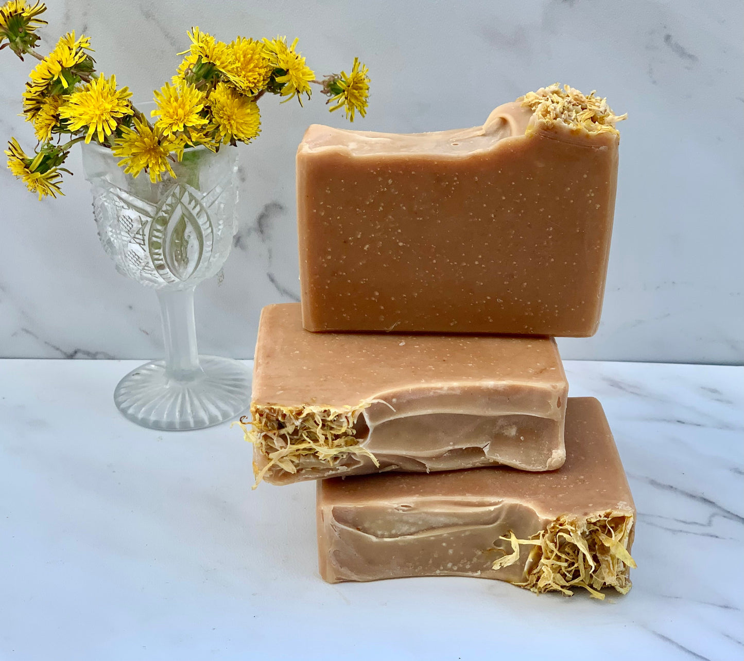 Dandelion and Aloe Vera